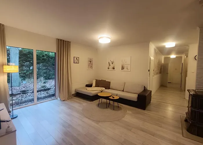 Dom Nad Miedwiem, Wilgi Можичин